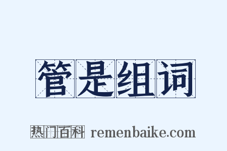 管是组词是什么意思的图片